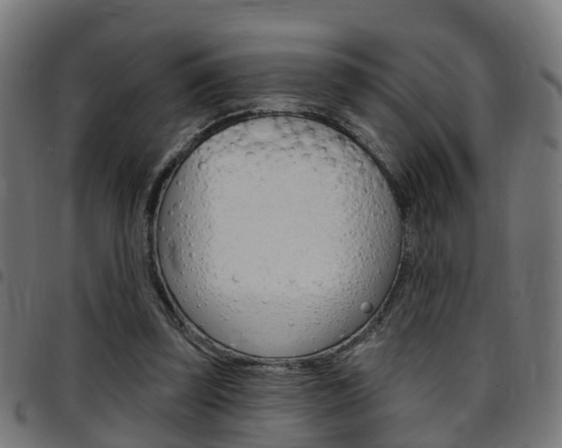 X0000097750347200803070847