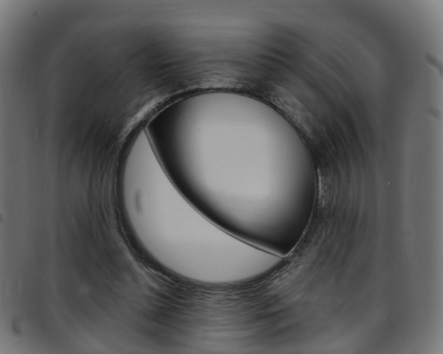 X0000097750348200803070847