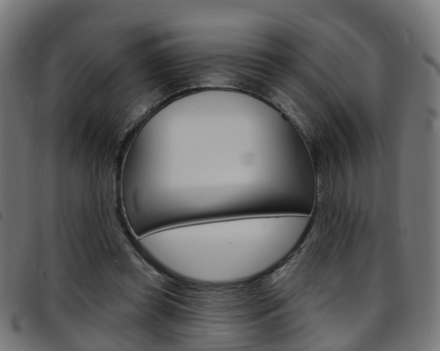 X0000097750349200803070847