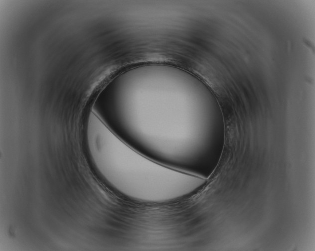 X0000097750350200803070847