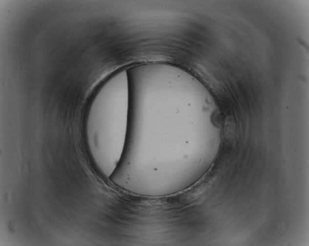 X0000097750351200803070847