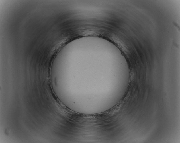 X0000097750353200803070847
