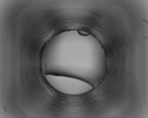 X0000097750354200803070847