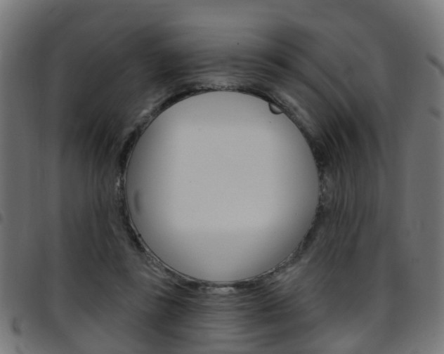 X0000097750355200803070847