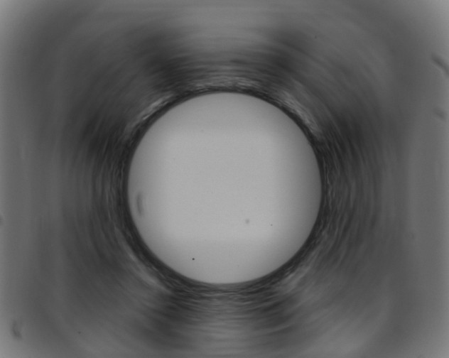 X0000097750356200803070847