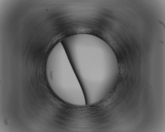 X0000097750357200803070848