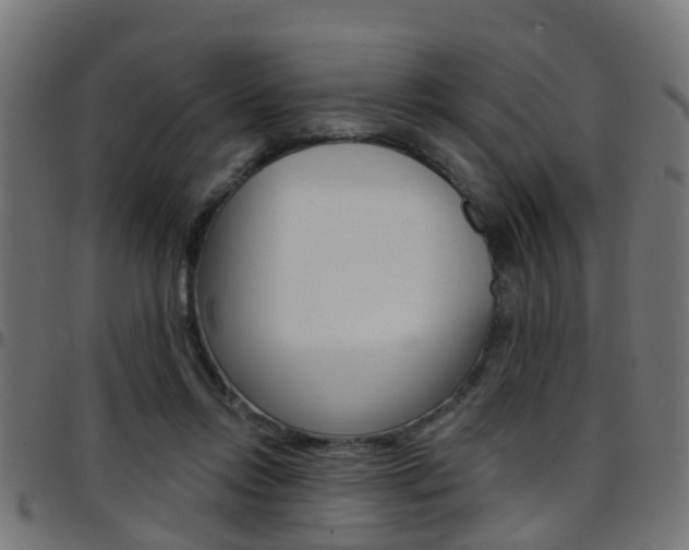X0000097750358200803070848