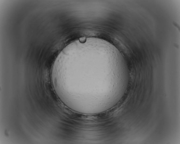 X0000097750359200803070848