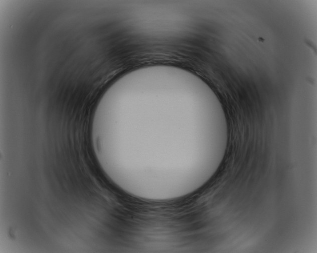 X0000097750360200803070848