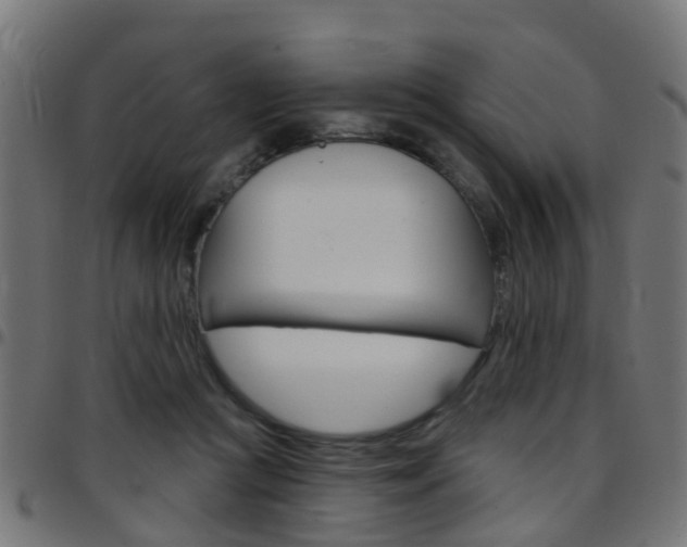 X0000097750361200803070848