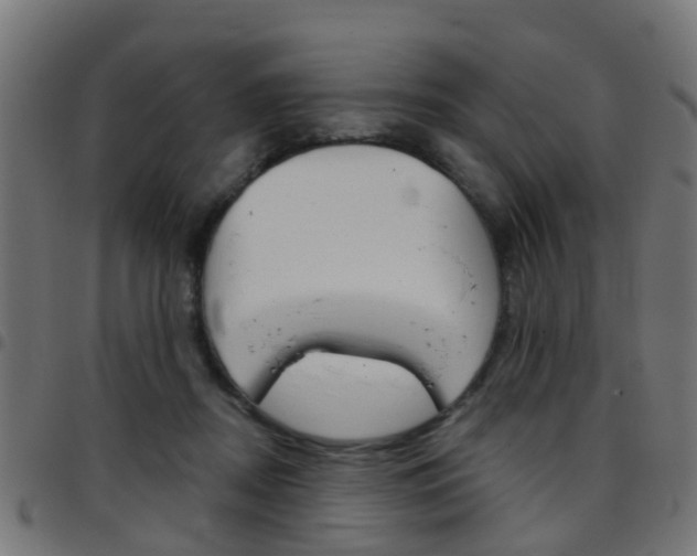 X0000097750362200803070848