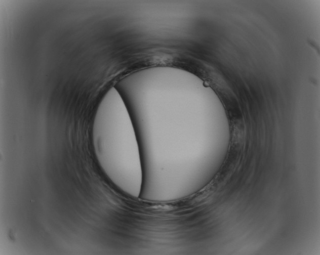 X0000097750363200803070848