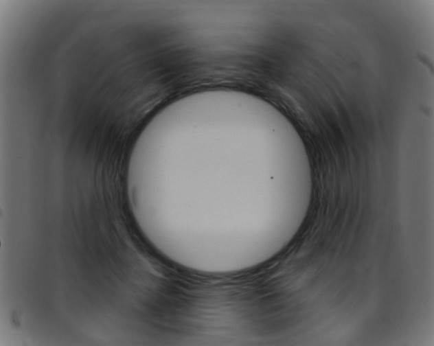 X0000097750364200803070848