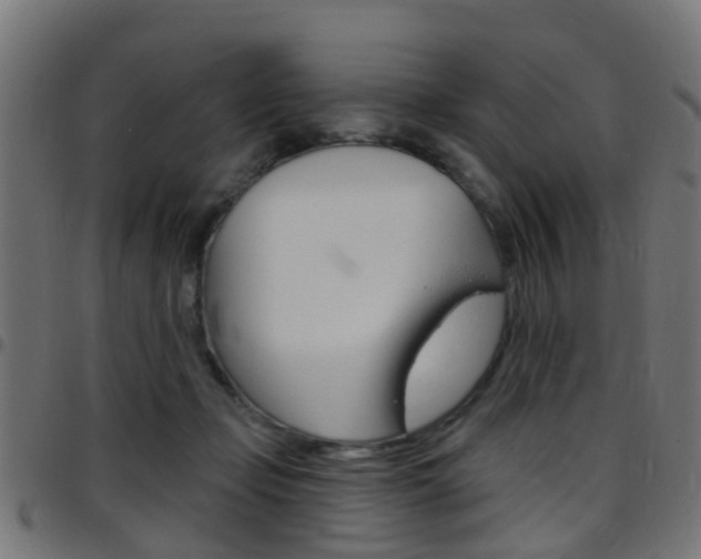 X0000097750365200803070848