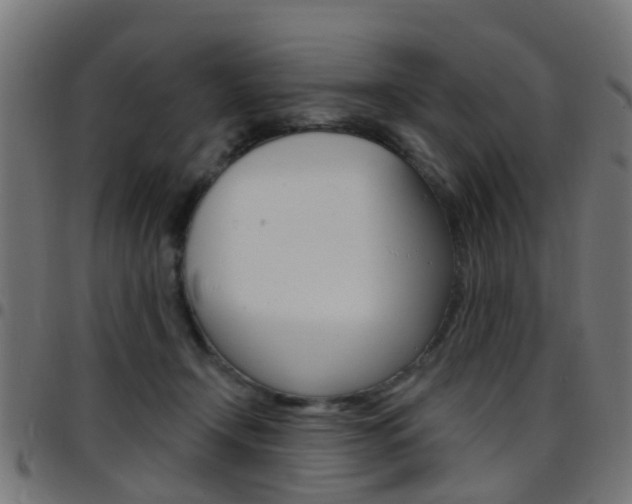 X0000097750366200803070848
