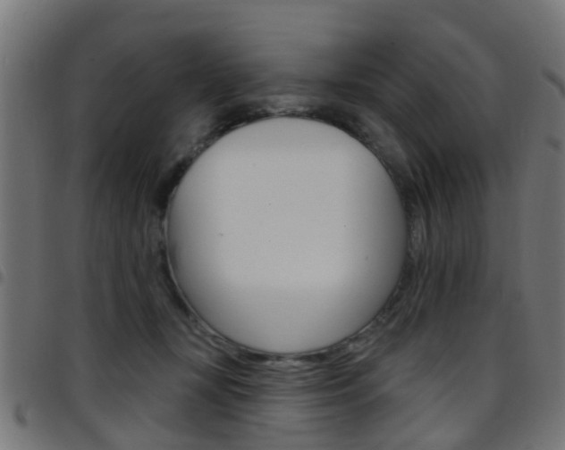 X0000097750367200803070848