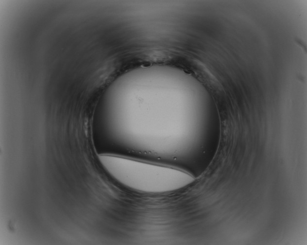 X0000097750368200803070848
