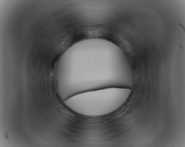 X0000097750369200803070848