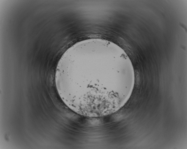 X0000097750370200803070848