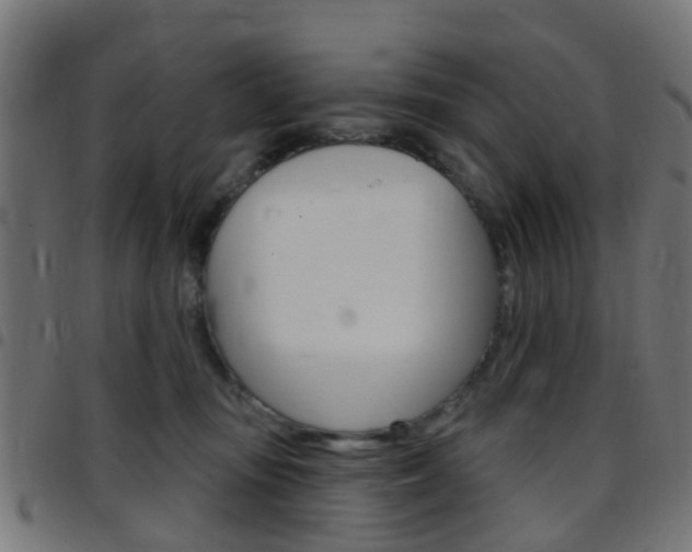 X0000097750371200803070848