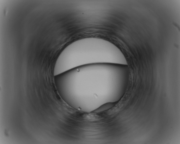 X0000097750372200803070848