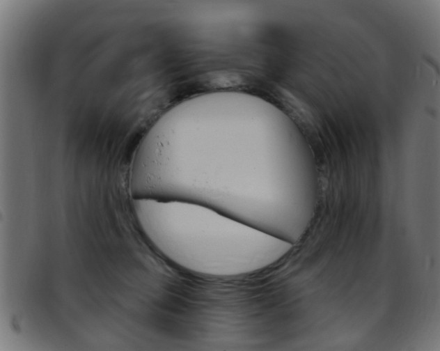 X0000097750373200803070848
