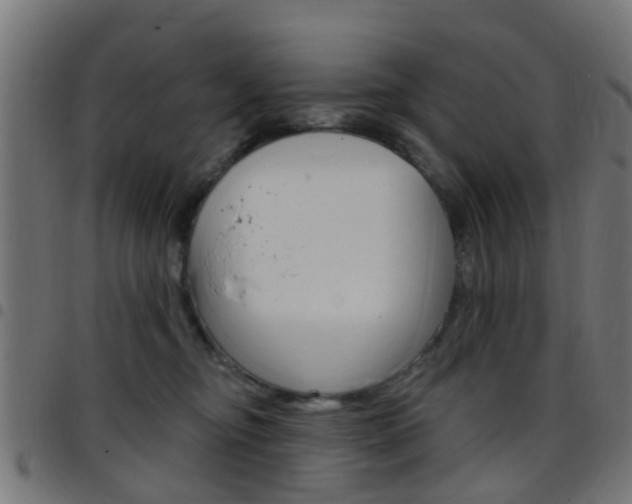 X0000097750374200803070848