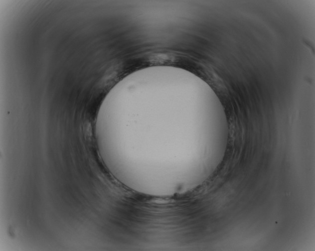 X0000097750375200803070848