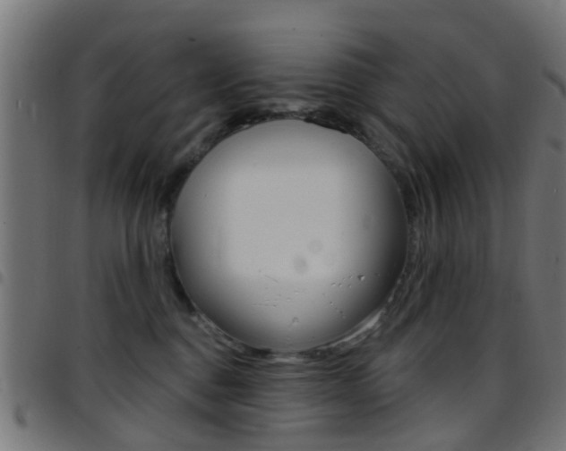 X0000097750376200803070848