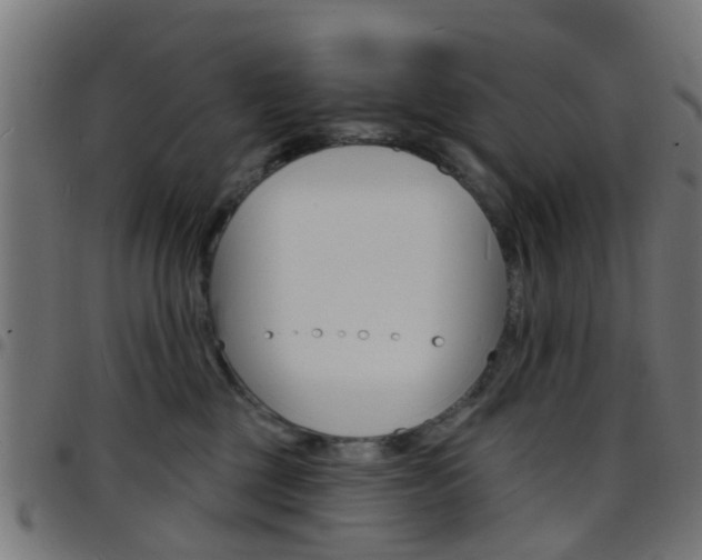 X0000097750377200803070848
