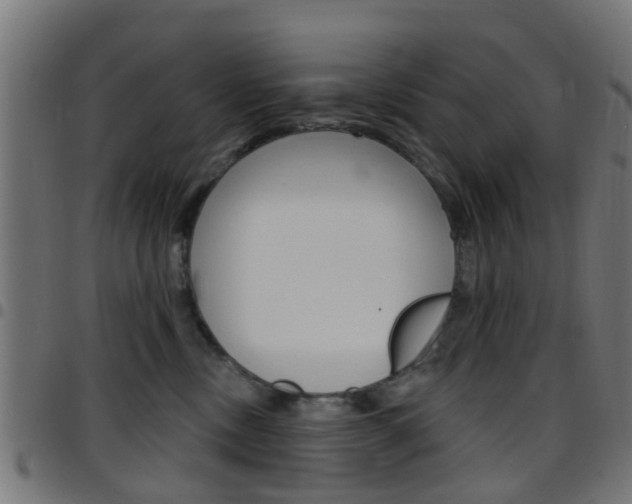 X0000097750378200803070848