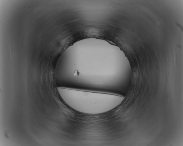 X0000097750379200803070848