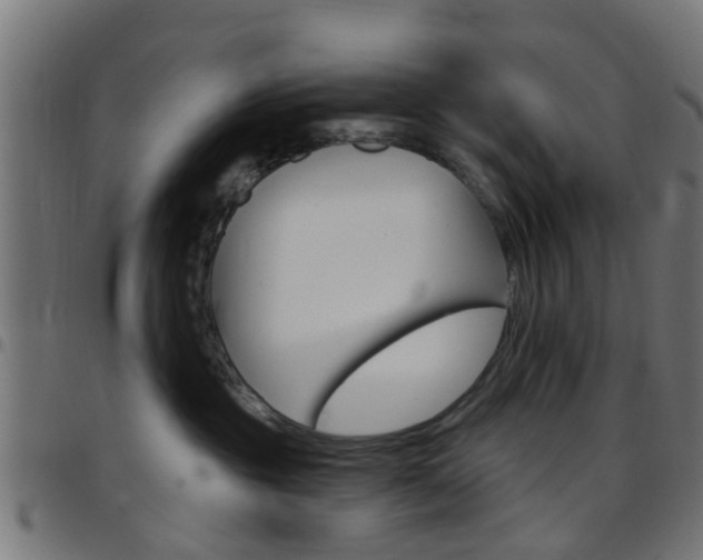 X0000097750381200803070848