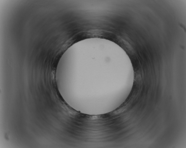 X0000097750382200803070848