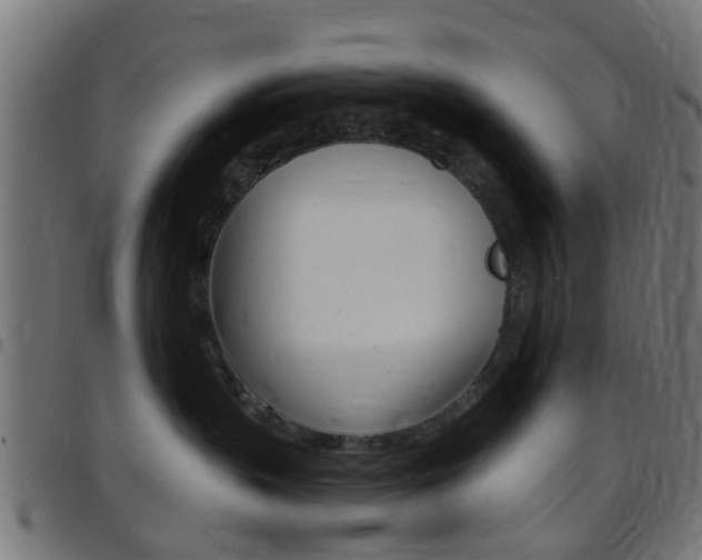 X0000097750383200803070848