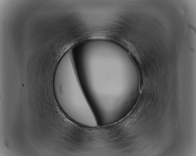 X0000097750385200803070847