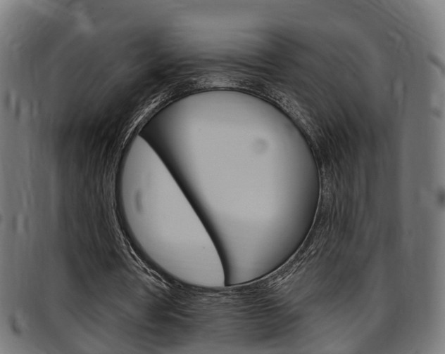 X0000097750386200803070847