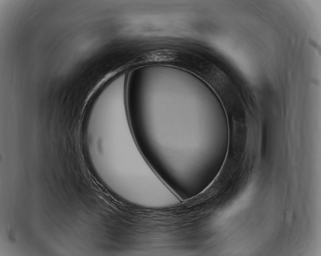 X0000097750387200803070847