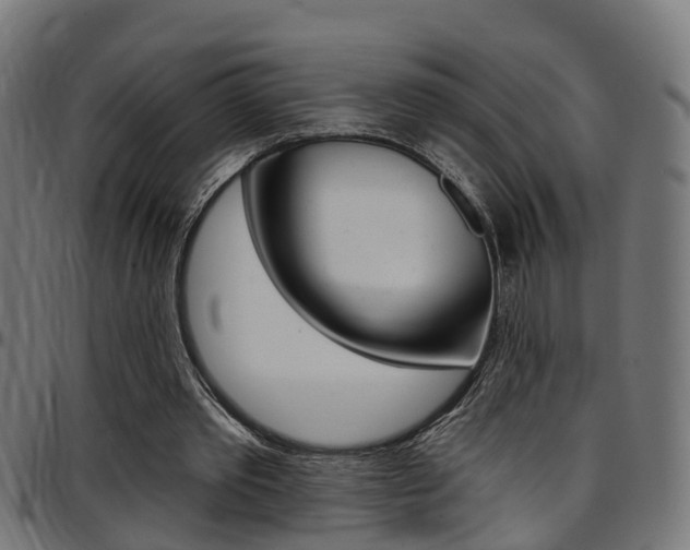 X0000097750389200803070847