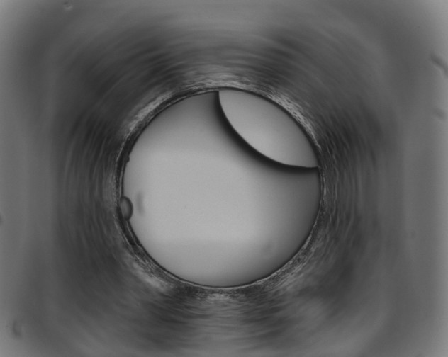 X0000097750390200803070847