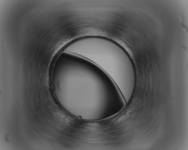 X0000097750391200803070847