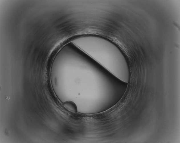 X0000097750392200803070847