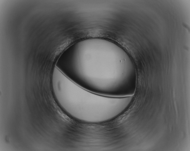 X0000097750393200803070847