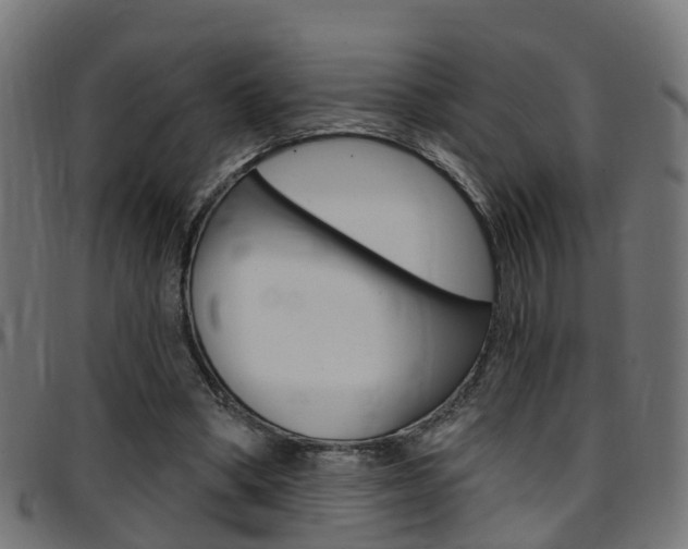 X0000097750394200803070847