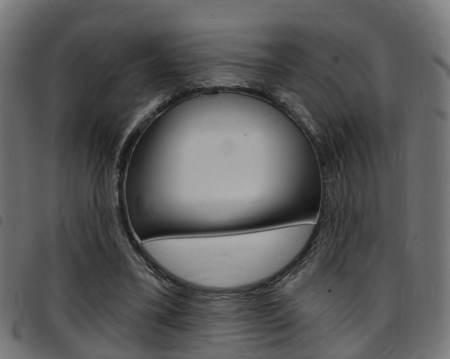 X0000097750395200803070847
