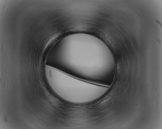 X0000097750396200803070847