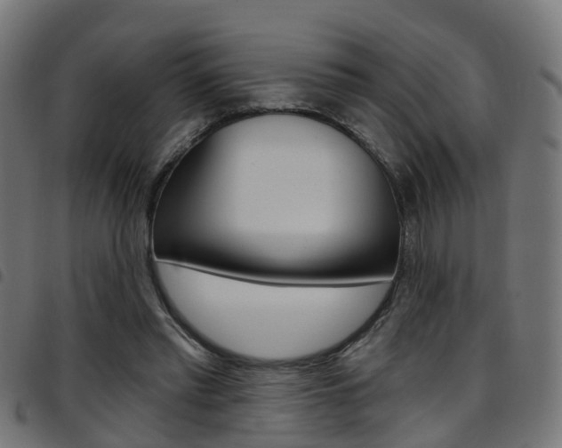 X0000097750397200803070847