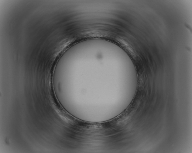 X0000097750398200803070847