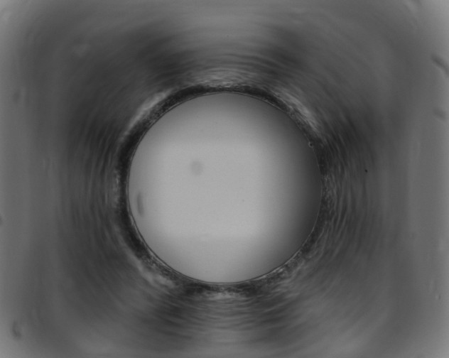 X0000097750400200803070847