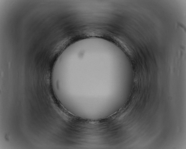 X0000097750402200803070847